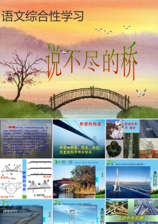 八年级语文上册(说不尽的桥)优秀实用课件 人教新课标版 课件