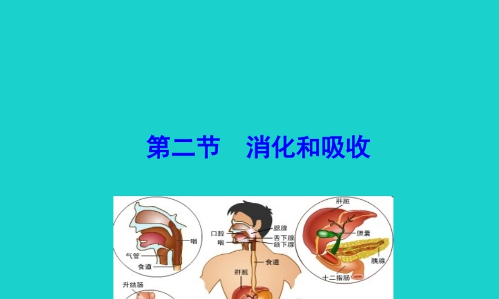 七年级生物下册 4.2.2 消化和吸收课件 七年级生物下册 4.2.2 消化和吸收课件+素材(新版)新人教版