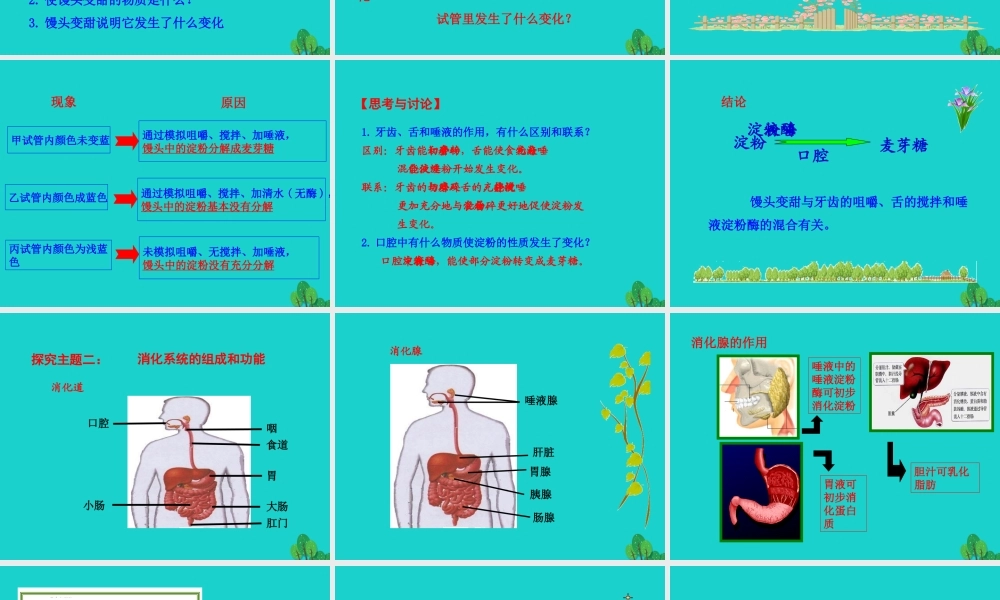 七年级生物下册 4.2.2 消化和吸收课件 七年级生物下册 4.2.2 消化和吸收课件+素材(新版)新人教版