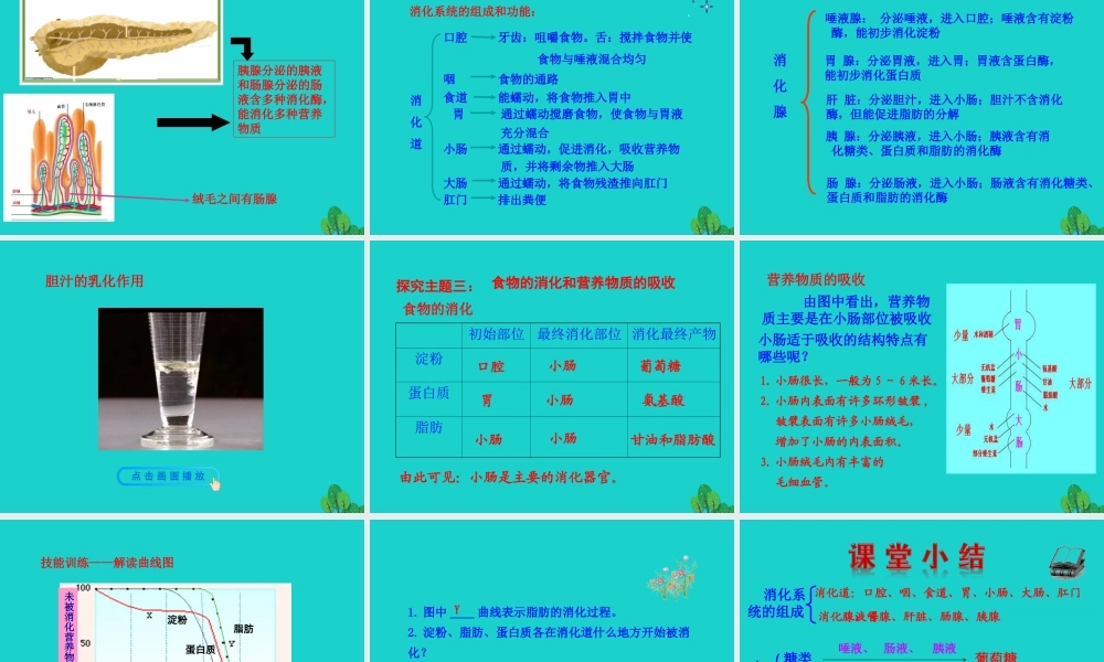 七年级生物下册 4.2.2 消化和吸收课件 七年级生物下册 4.2.2 消化和吸收课件+素材(新版)新人教版