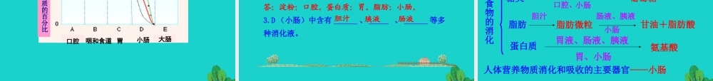 七年级生物下册 4.2.2 消化和吸收课件 七年级生物下册 4.2.2 消化和吸收课件+素材(新版)新人教版