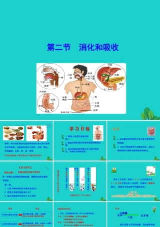 七年级生物下册 4.2.2 消化和吸收课件 七年级生物下册 4.2.2 消化和吸收课件+素材(新版)新人教版