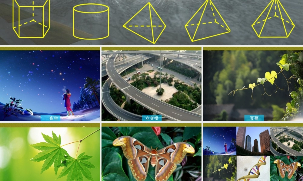 中学七年级数学上册 1.1(我们身边的图形世界(第一课时))课件 青岛版 课件