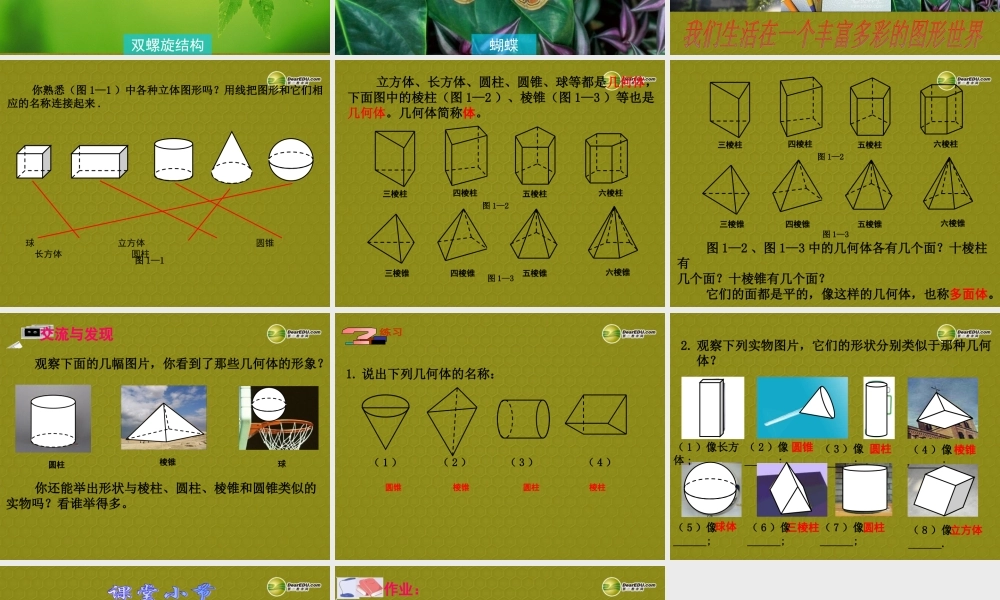 中学七年级数学上册 1.1(我们身边的图形世界(第一课时))课件 青岛版 课件