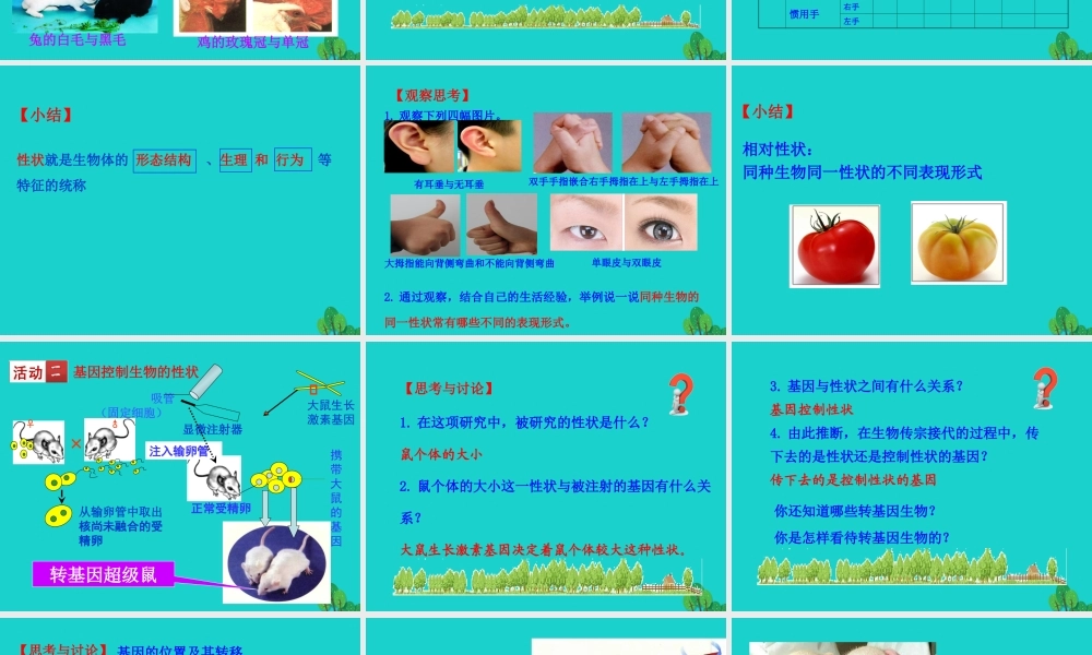 八年级生物下册 7.2.1 基因控制生物的性状课件 八年级生物下册 7.2.1 基因控制生物的性状课件+素材(新版)新人教版 八年级生物下册 7.2.1 基因控制生物的性状课件+素材(新版)新人教版-2