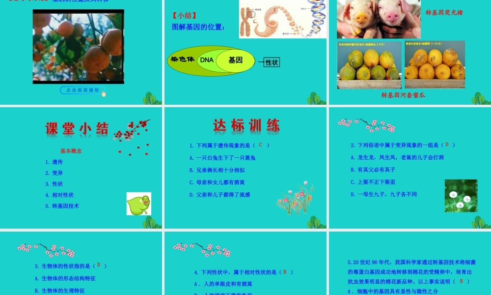 八年级生物下册 7.2.1 基因控制生物的性状课件 八年级生物下册 7.2.1 基因控制生物的性状课件+素材(新版)新人教版 八年级生物下册 7.2.1 基因控制生物的性状课件+素材(新版)新人教版-2