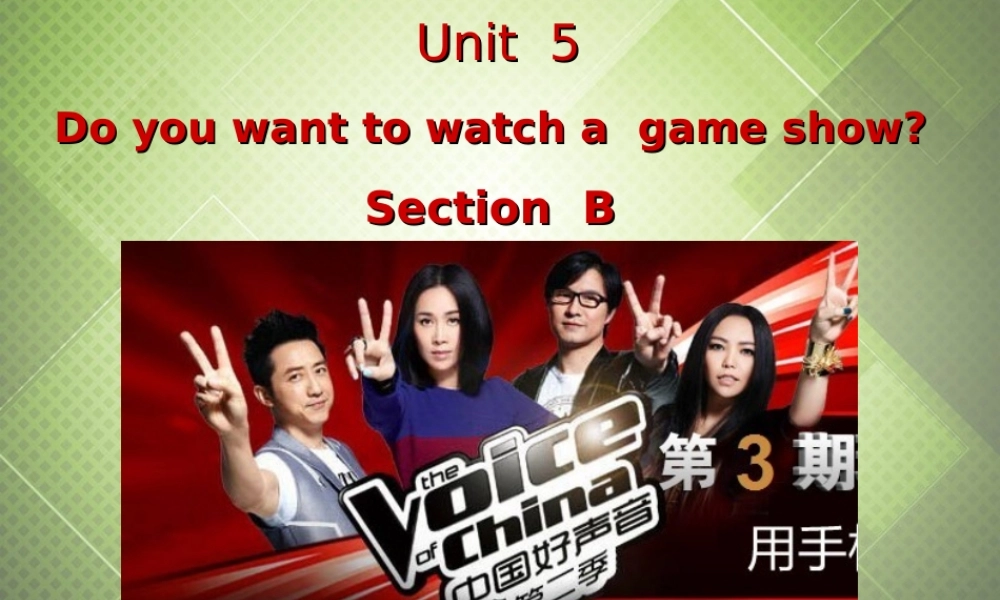 八年级英语上册 Unit 5 Do you want to watch a game show Section B课件 (新版)人教新目标版 课件