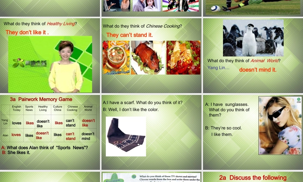 八年级英语上册 Unit 5 Do you want to watch a game show Section B课件 (新版)人教新目标版 课件