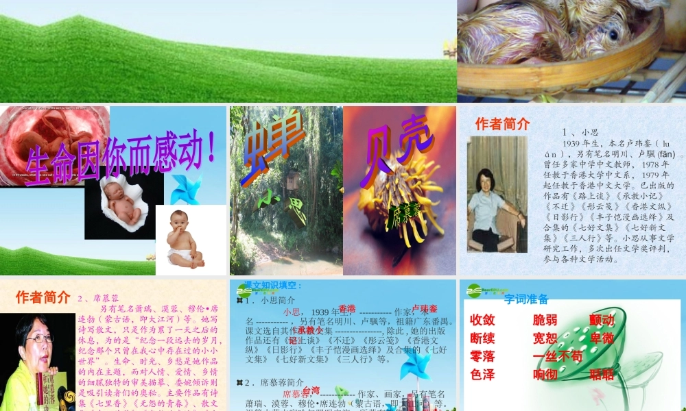 七年级语文上册(贝壳)教学课件 人教新课标版 课件