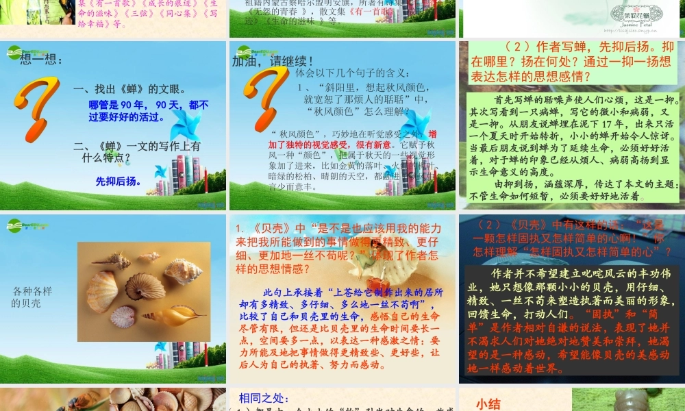 七年级语文上册(贝壳)教学课件 人教新课标版 课件