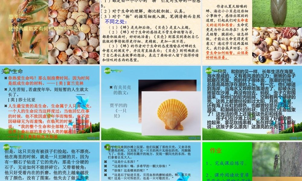 七年级语文上册(贝壳)教学课件 人教新课标版 课件