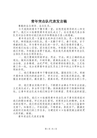 青年突击队代表发言稿
