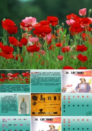 八年级语文上册 7.26(虎门销烟)课件 华东师大版 课件