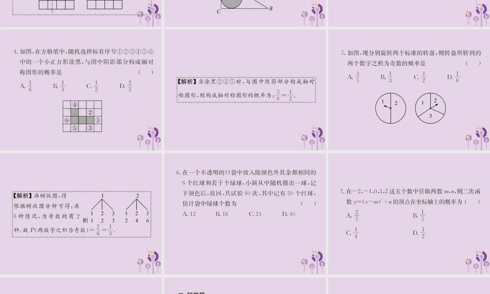 中考数学复习 第31课时 概率(课后作业)课件