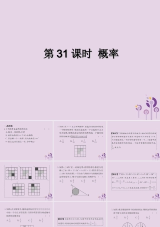 中考数学复习 第31课时 概率(课后作业)课件