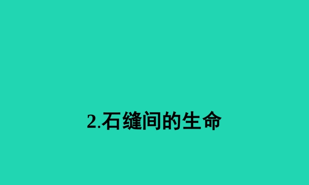 九年级语文下册 第一单元 2 石缝间的生命课件 语文版 课件