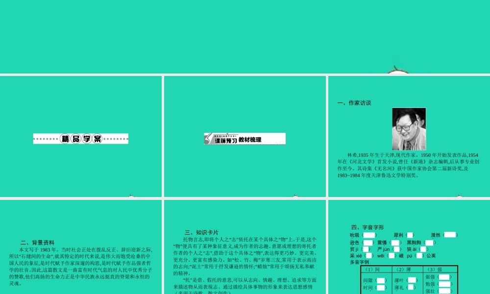 九年级语文下册 第一单元 2 石缝间的生命课件 语文版 课件