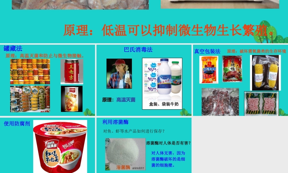 八年级生物上册 第五单元 第三章 第二节 食品保存技术 现代的食品保存方法课件 冀少版 课件