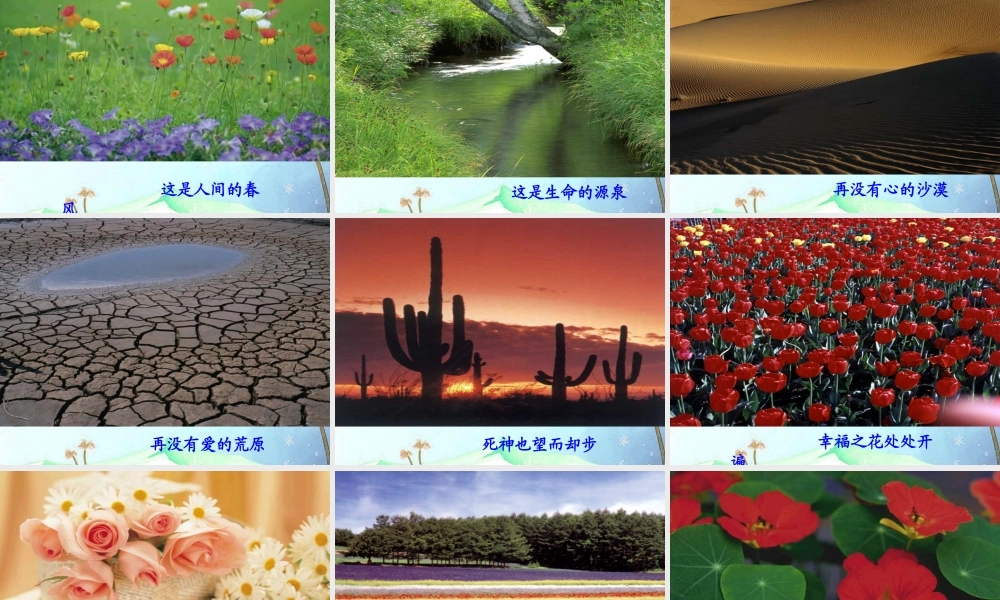 九年级语文上册(我的叔叔于勒)优秀课件(36页) 人教新课标版 课件