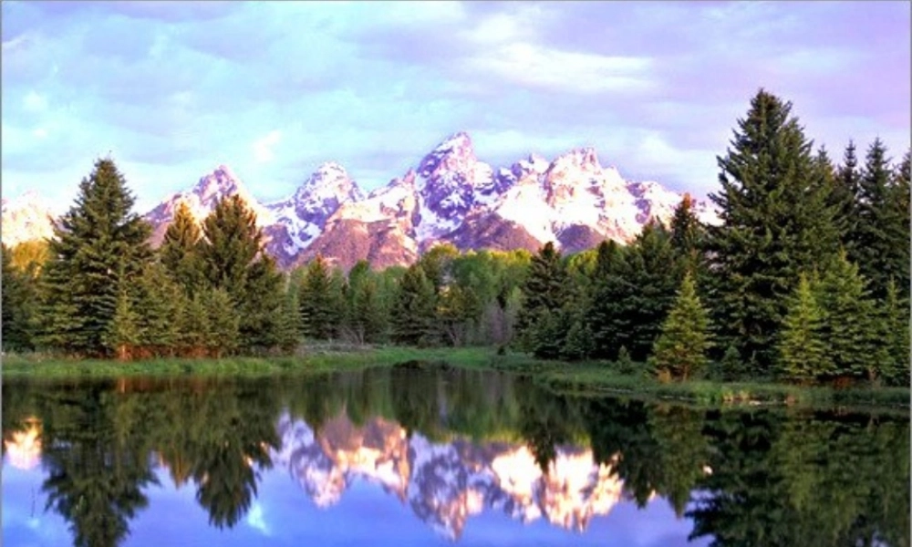 八年级数学全等三角形课件8 新课标 人教版 课件