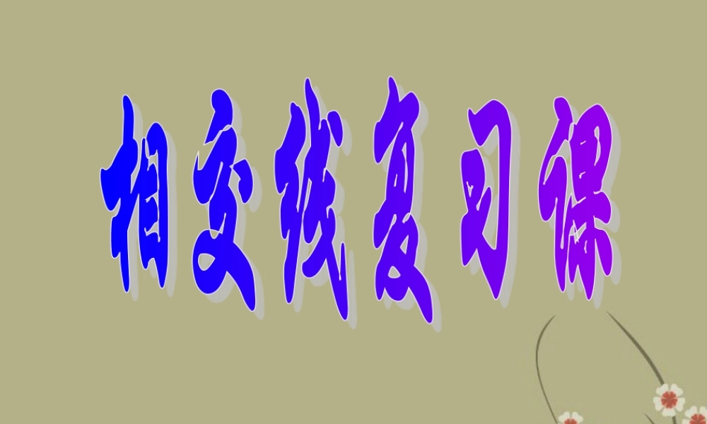 中学七年级数学下册 第五章相交线与平行线 复习课件 新人教版 课件