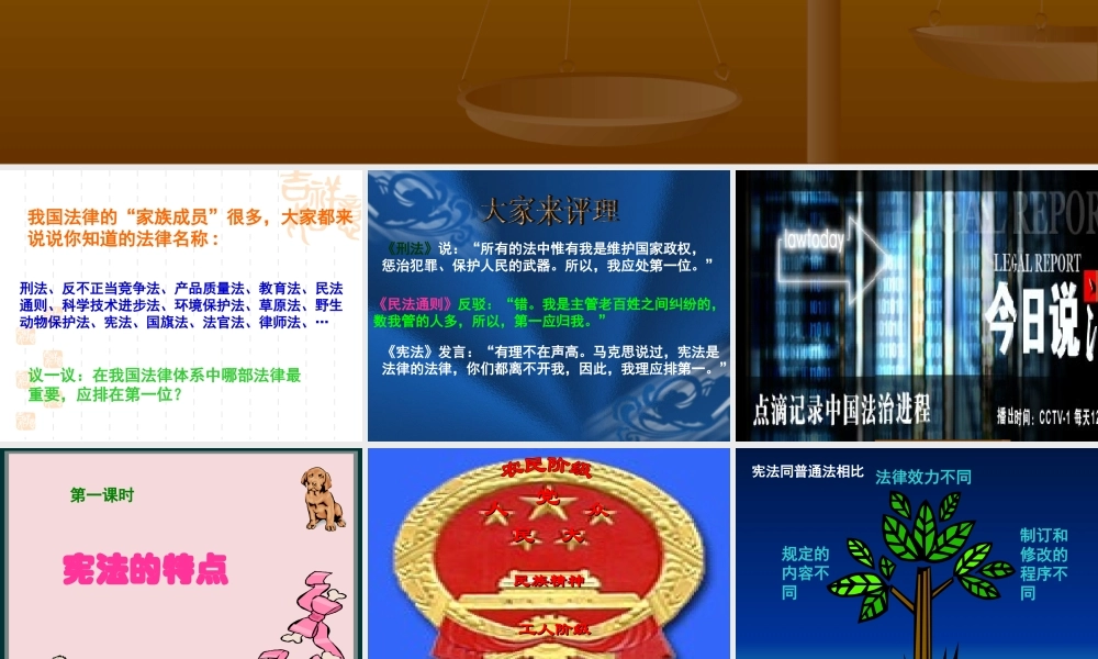 新课标 人教版初三政治宪法是国家的根本大法学 课件