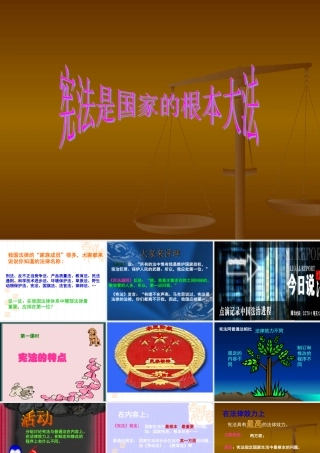 新课标 人教版初三政治宪法是国家的根本大法学 课件