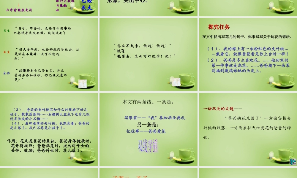 中学七年级语文下册 1.2(爸爸的花儿落了)课件 (新版)新人教版 课件
