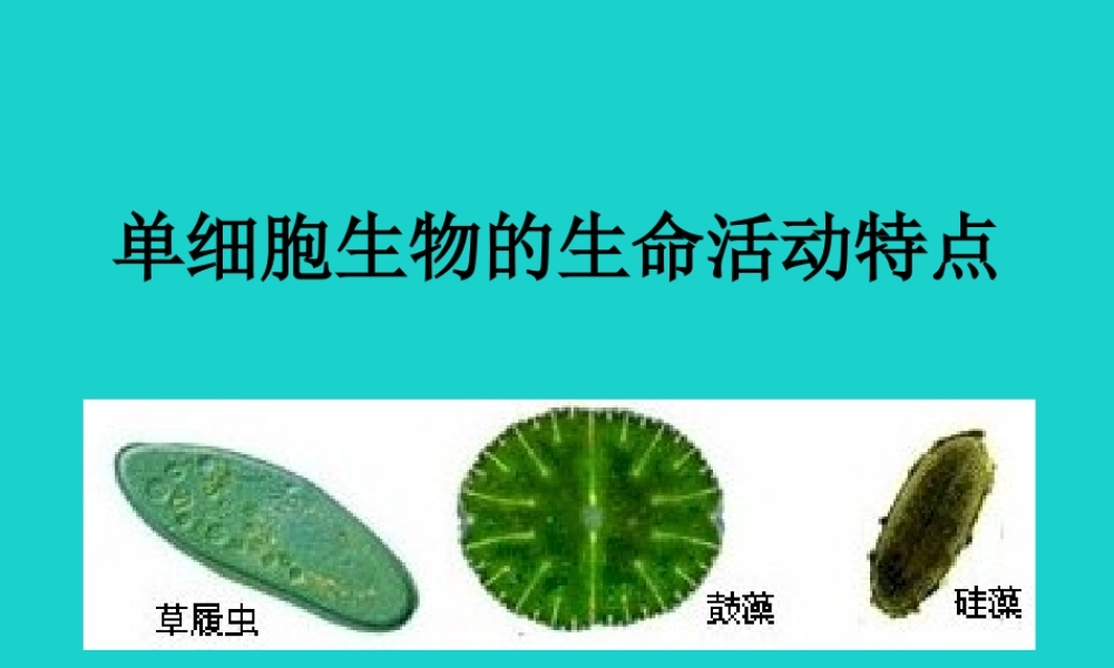 七年级生物上册 第三章 第二节 生物体 单细胞生物的生命活动特点课件 (新版)北京版 课件