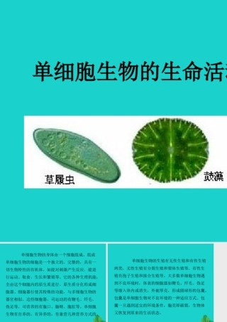 七年级生物上册 第三章 第二节 生物体 单细胞生物的生命活动特点课件 (新版)北京版 课件