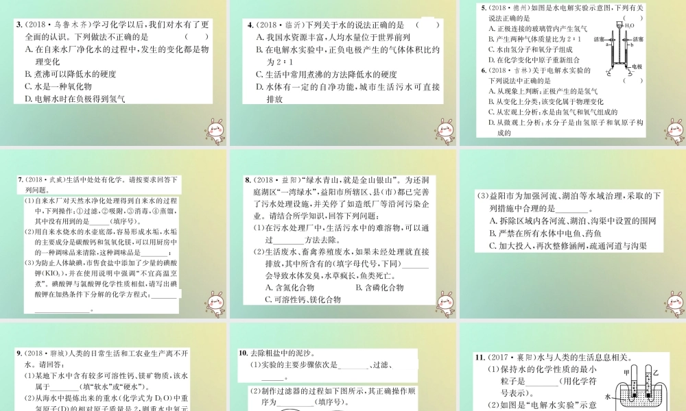 中考化学复习 主题一 身边的化学物质 第3讲 水课件