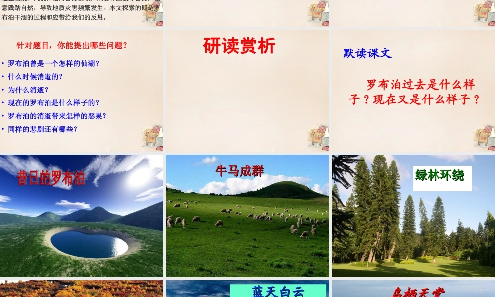 八年级语文下册 第三单元 第12课(罗布泊，消失的仙湖)课件 (新版)新人教版 课件