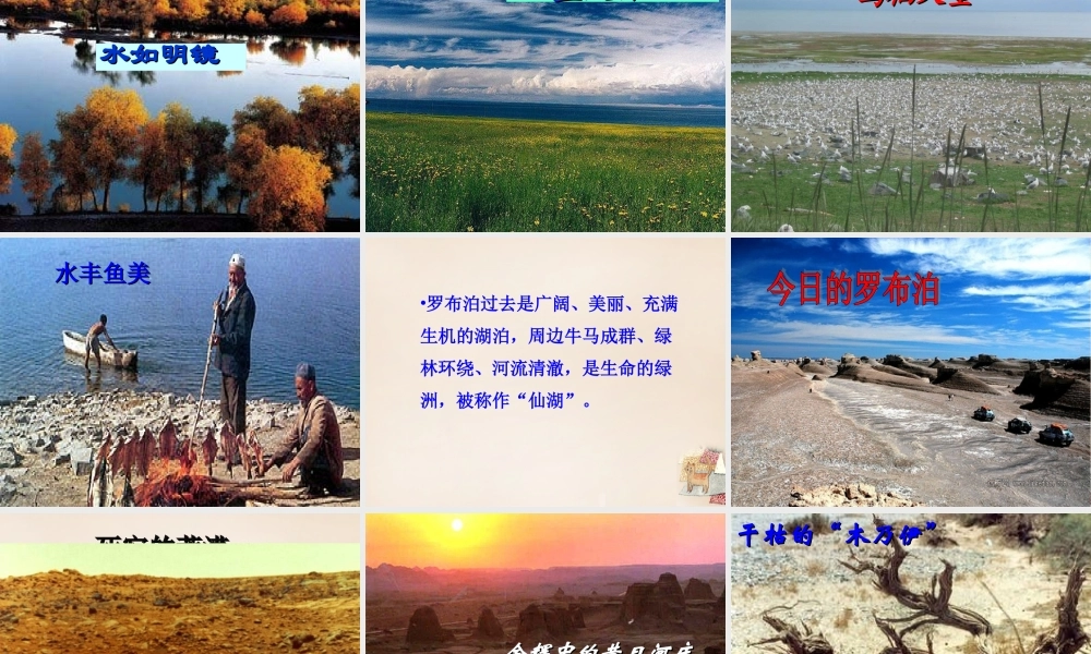 八年级语文下册 第三单元 第12课(罗布泊，消失的仙湖)课件 (新版)新人教版 课件