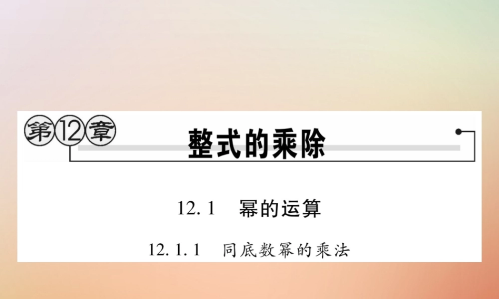 八年级数学上册 第12章 整式的乘除 12.1 幂的运算 12.1.1 同底数幂的乘法课时检测课件 (新版)华东师大版 课件