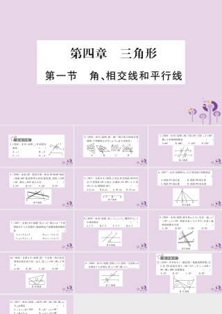中考数学复习 第一轮 考点系统复习 第4章 三角形 第1节 角、相交线和平行线习题课件