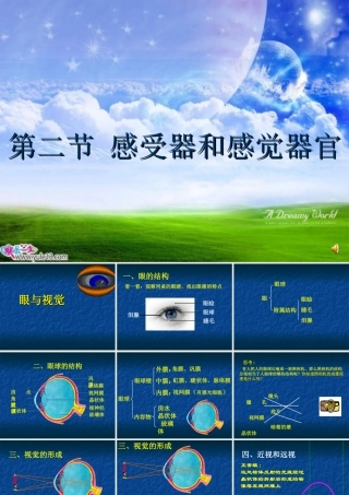 七年级生物下第二节 感受器和感觉器官课件 (第一课时)北师大版 课件