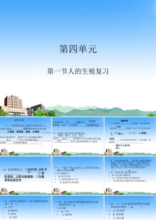 七年级生物下册 第一节人的生殖复习课件 人教新课标版 课件