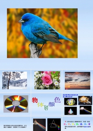 八年级物理上册 第五章第五节物体的颜色课件 北师大版 课件