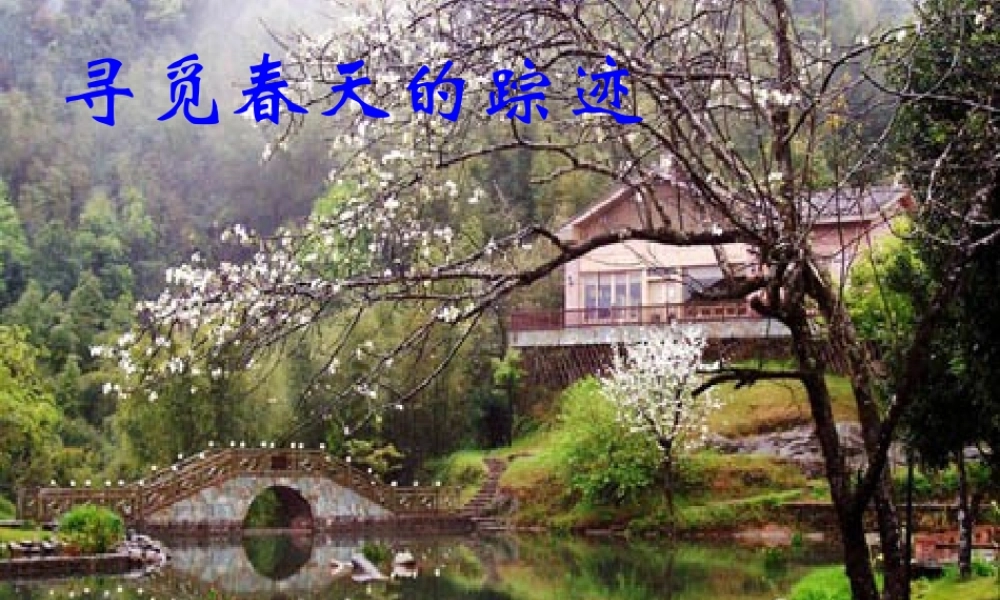 八年级语文下册 综合性学习(寻觅春天的踪迹)课件 新人教版 课件