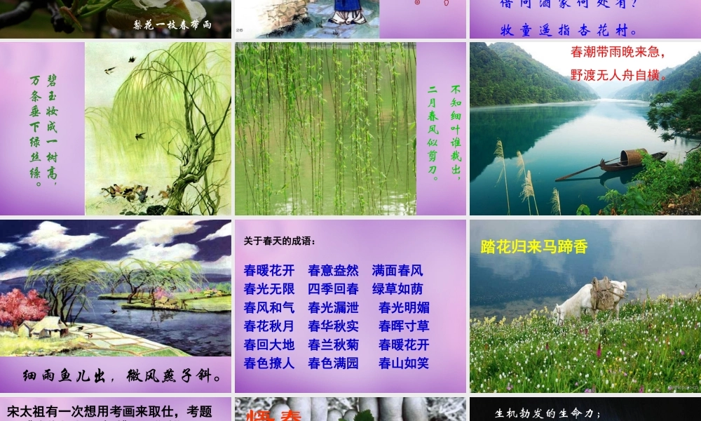 八年级语文下册 综合性学习(寻觅春天的踪迹)课件 新人教版 课件