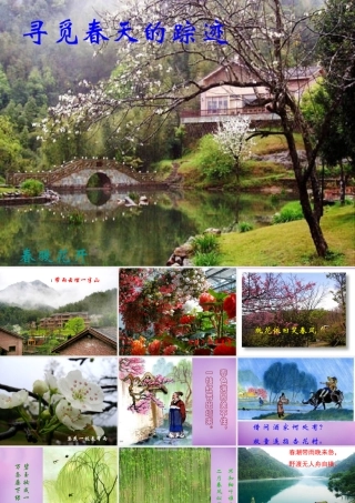 八年级语文下册 综合性学习(寻觅春天的踪迹)课件 新人教版 课件