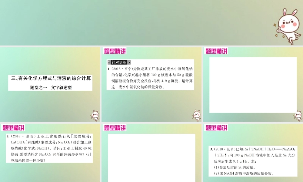 中考化学复习 题型复习(五)3 有关化学方程式与溶液的综合计算课件