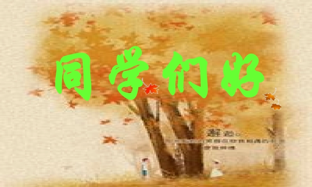 七年级数学下册 7.5(镜子改变了什么)课件 北师大版 课件