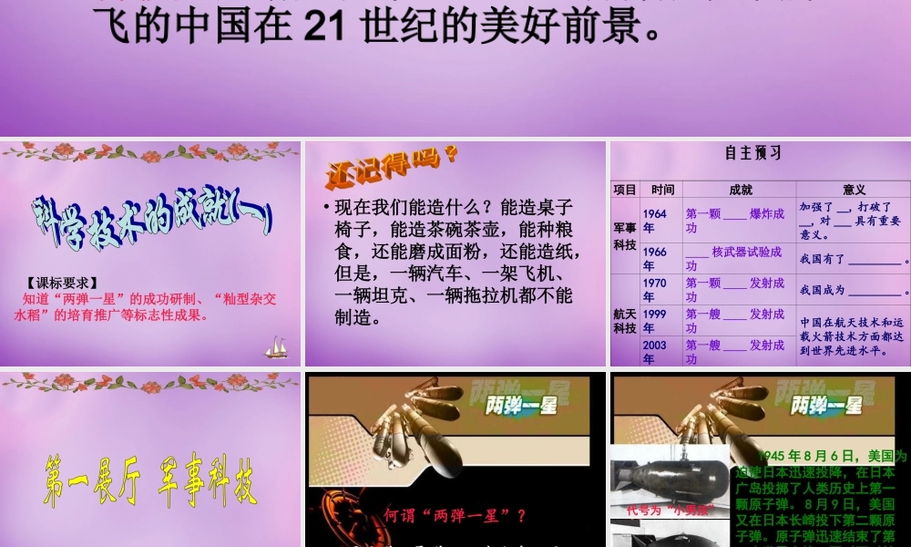中学八年级历史下册 第17课 科学技术的成就(一)课件 新人教版 课件