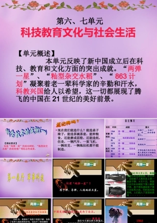 中学八年级历史下册 第17课 科学技术的成就(一)课件 新人教版 课件