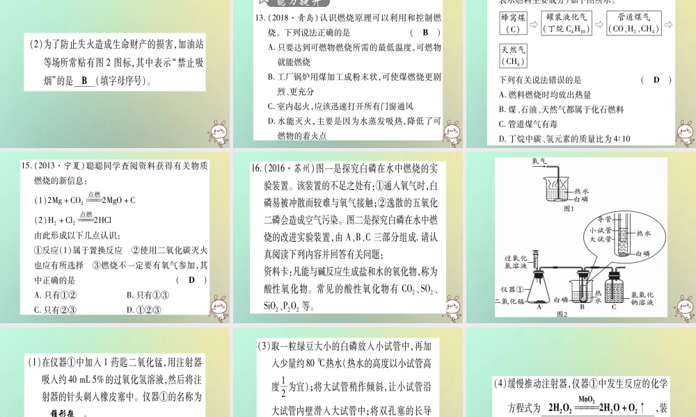 中考化学准点备考复习 第一部分 教材系统复习 第7讲 燃料及其利用复习作业课件 新人教版 课件