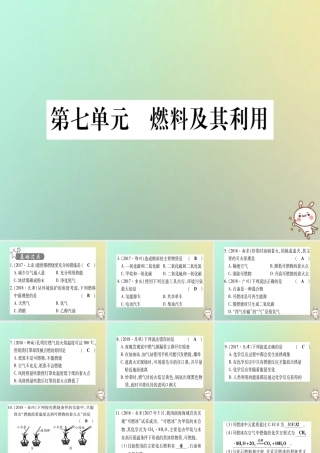 中考化学准点备考复习 第一部分 教材系统复习 第7讲 燃料及其利用复习作业课件 新人教版 课件