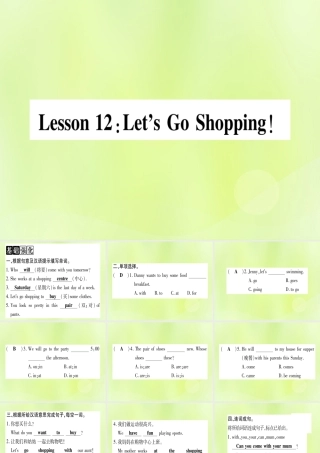 七年级英语上册 Unit 2 Colours and Clothes Lesson 12 Let s Go Shopping课件 (新版)冀教版 课件