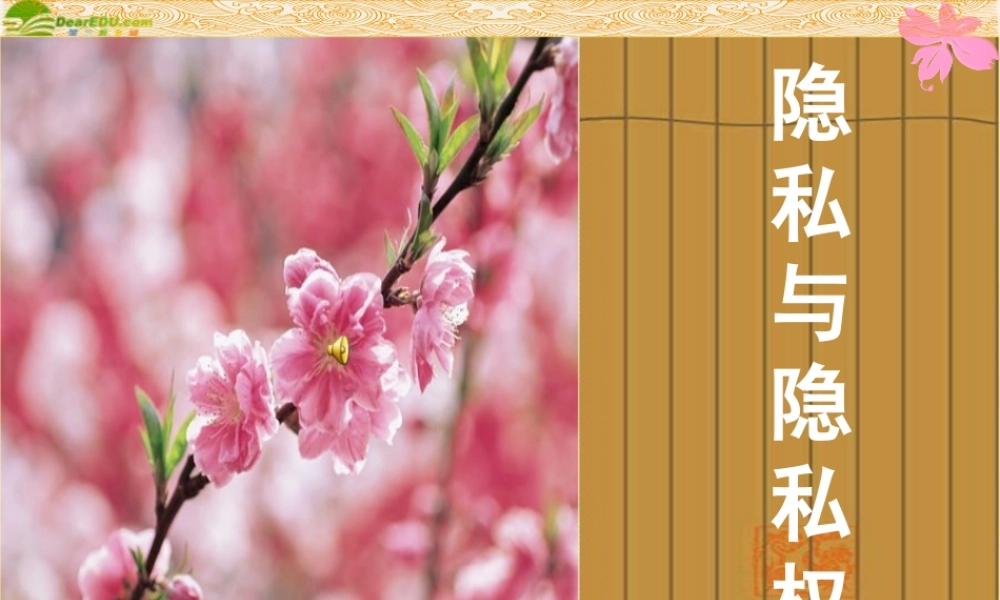 八年级政治下册(隐私与隐私权)课件 人教新课标版 课件