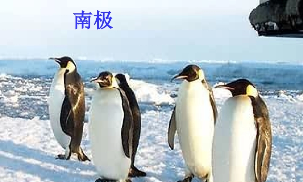 七年级语文下册 第21课(伟大的悲剧)课件 新人教版 课件